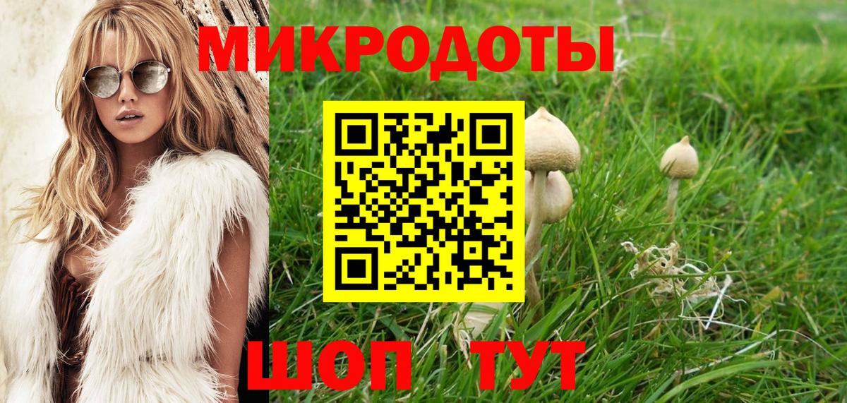 Псилоцибиновые грибы прущие грибы Чебоксары