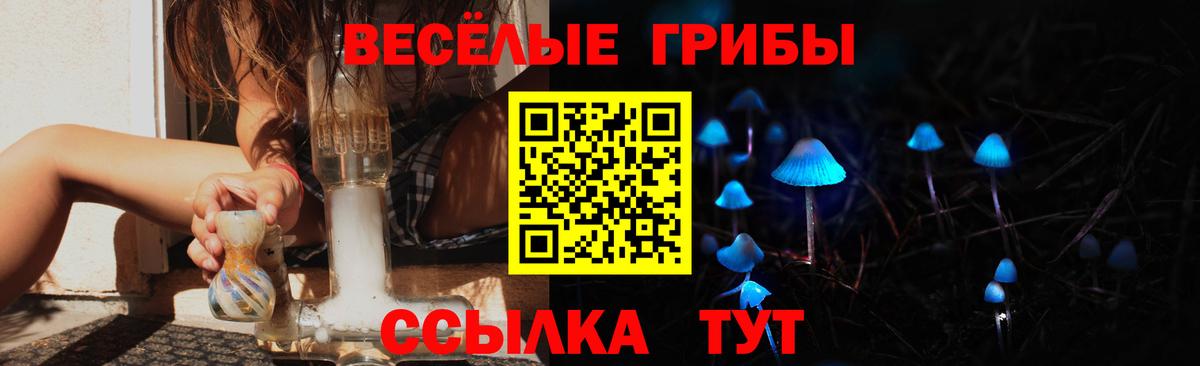 Псилоцибиновые грибы GOLDEN TEACHER  Псилоцибиновые грибы GOLDEN TEACHER  Вход с VPN  купить наркотик  Чебоксары 